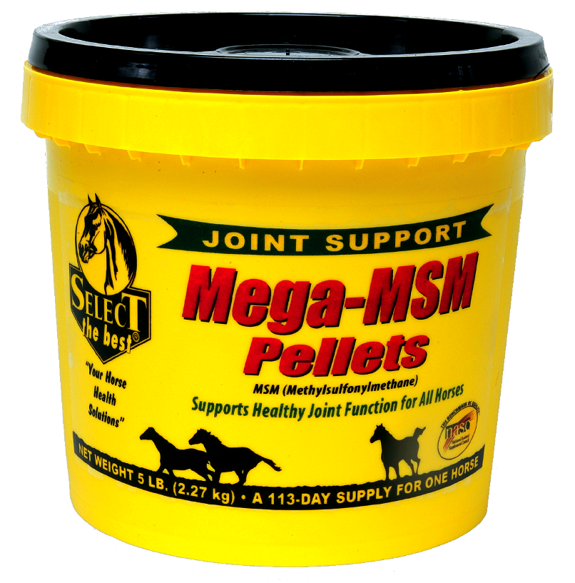 Select the Best Mega-MSM Pellets Horse Supplement, 5-lb