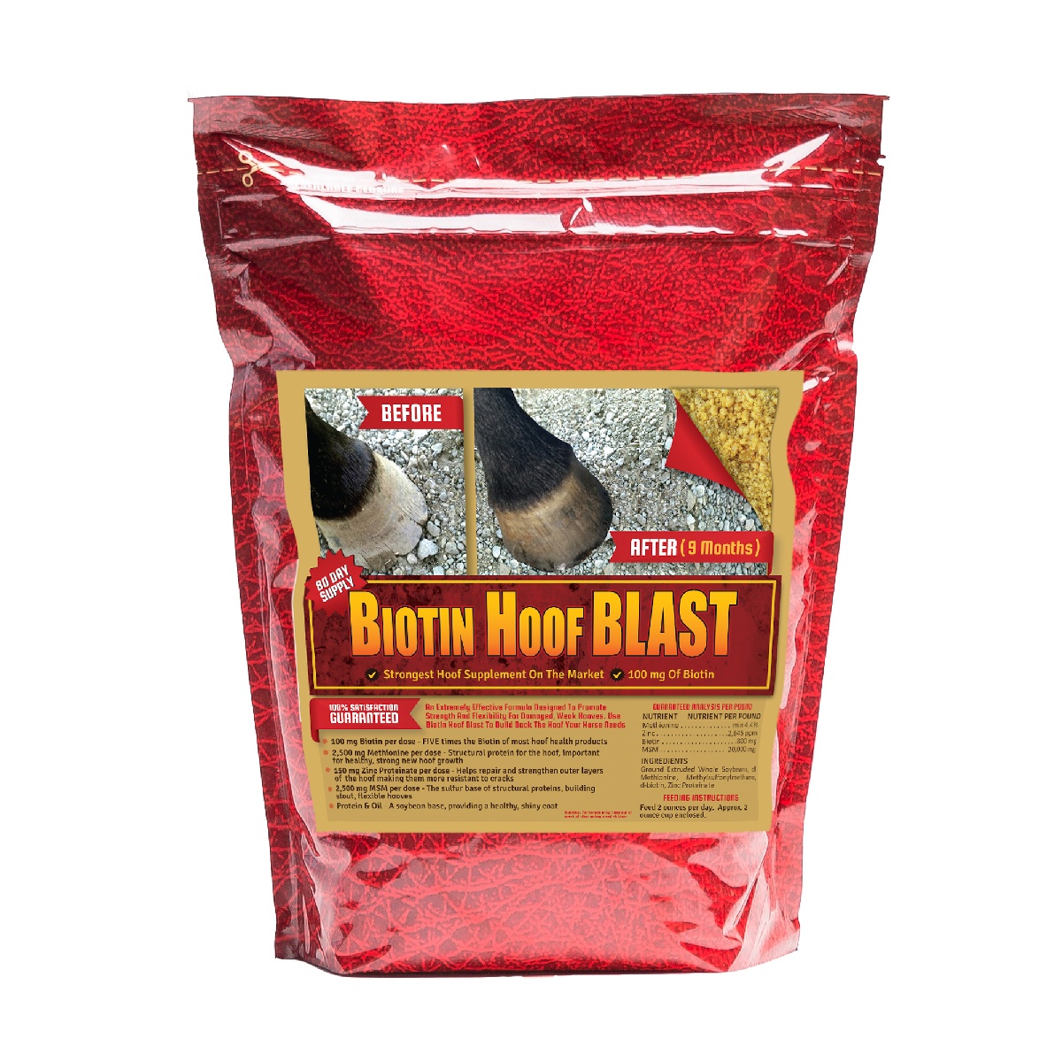 Horse Guard Biotin Hoof Blast Horse Supplement