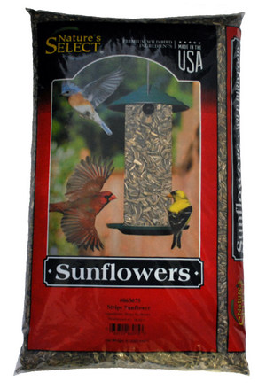 America's Favorite Black Oil Sunflower Seed Wild Bird Food