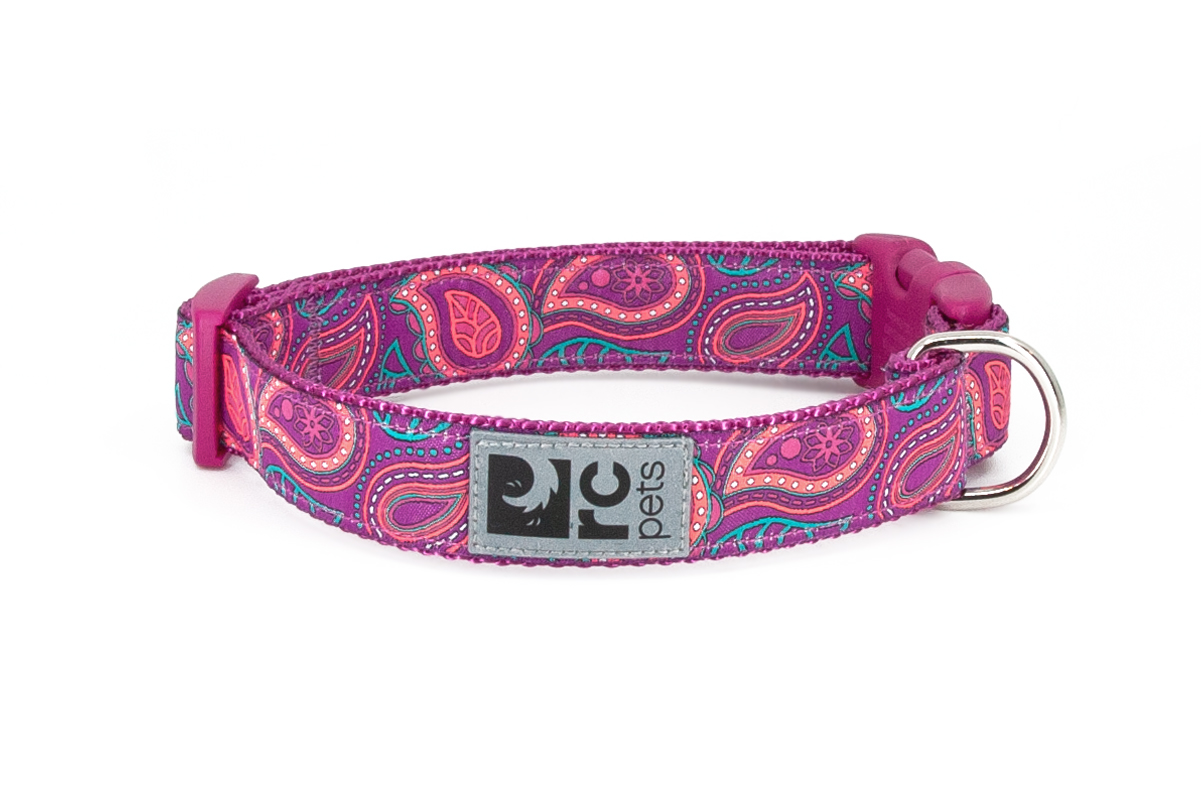 RC Pets Clip Dog Collar, Bright Paisley