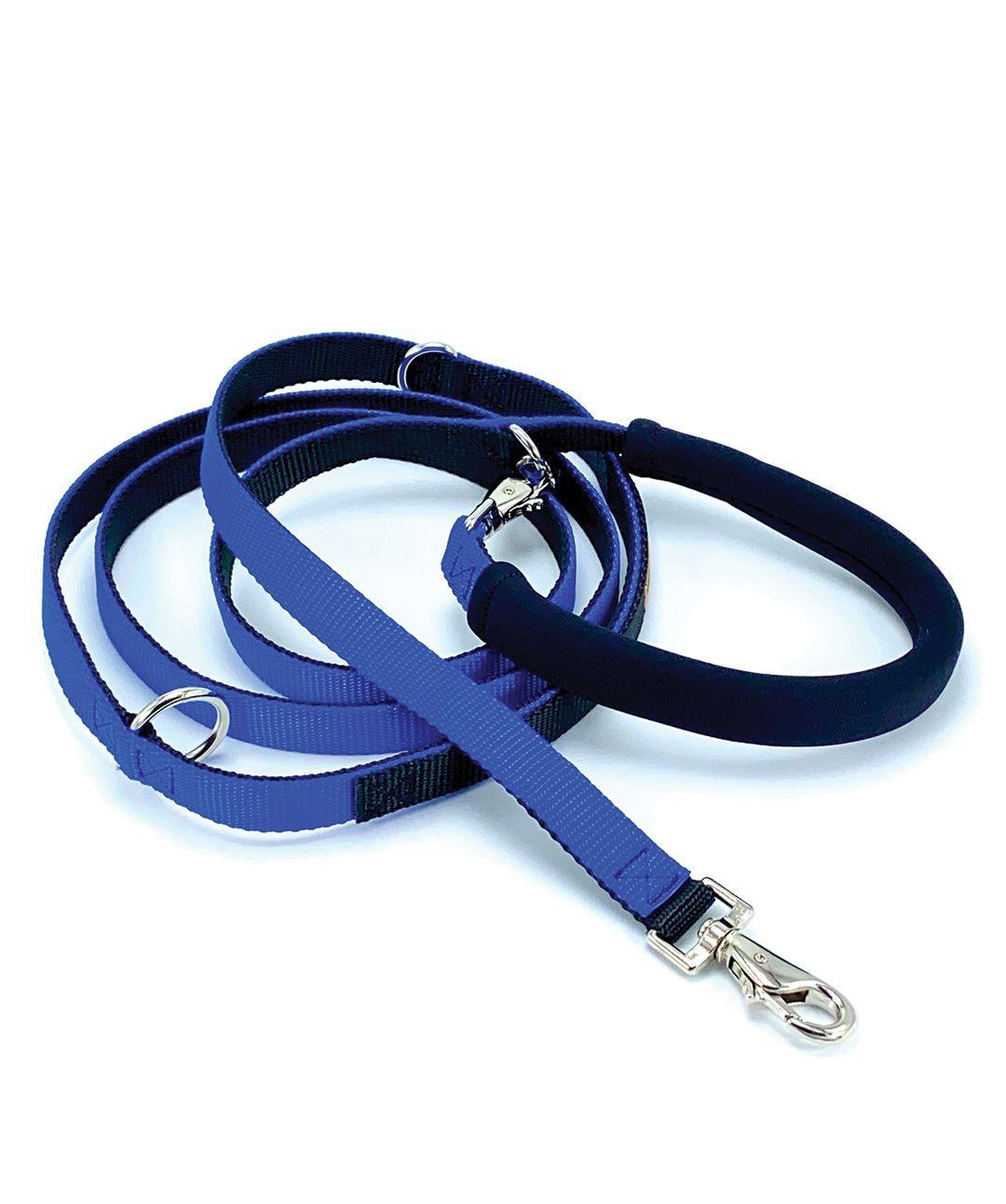 Dolan's Dog Doodads The Cruiser Multi-Functional Dog Leash, Blue