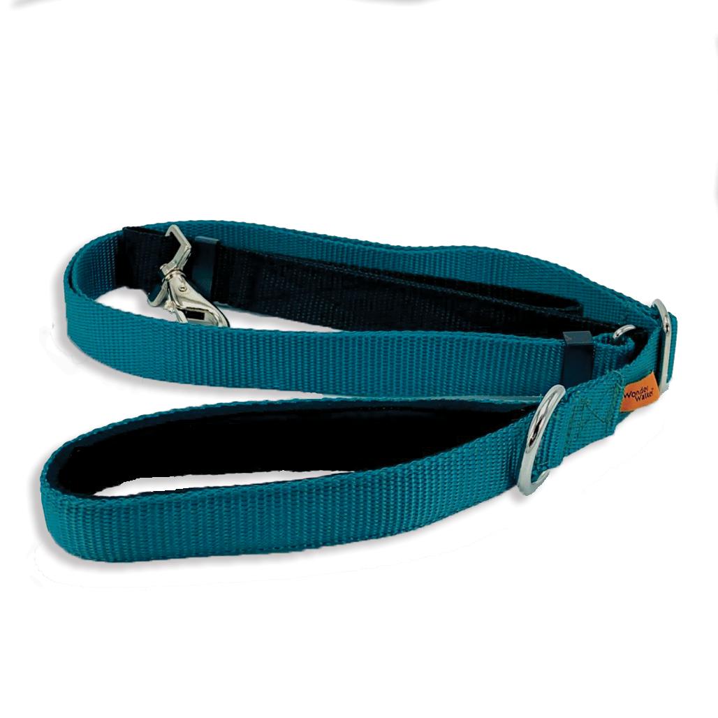 Dolan's Dog Doodads Service Lead for Dogs, Teal, 5/8-in