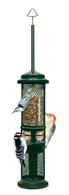 Brome SquirrelBuster Peanut Bird Feeder