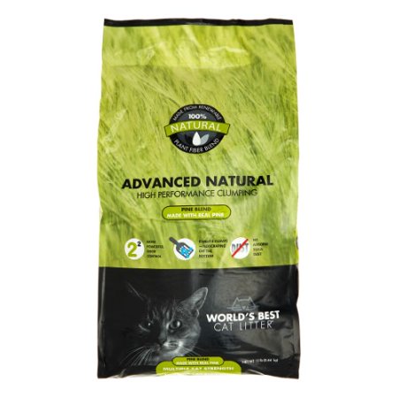 World's Best Cat Litter Forest Scented Clumping Formula