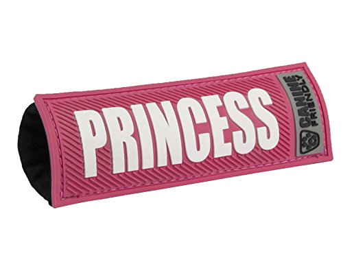 RC Pets Bark Notes Dog Collar Patch, Princess, 1-in
