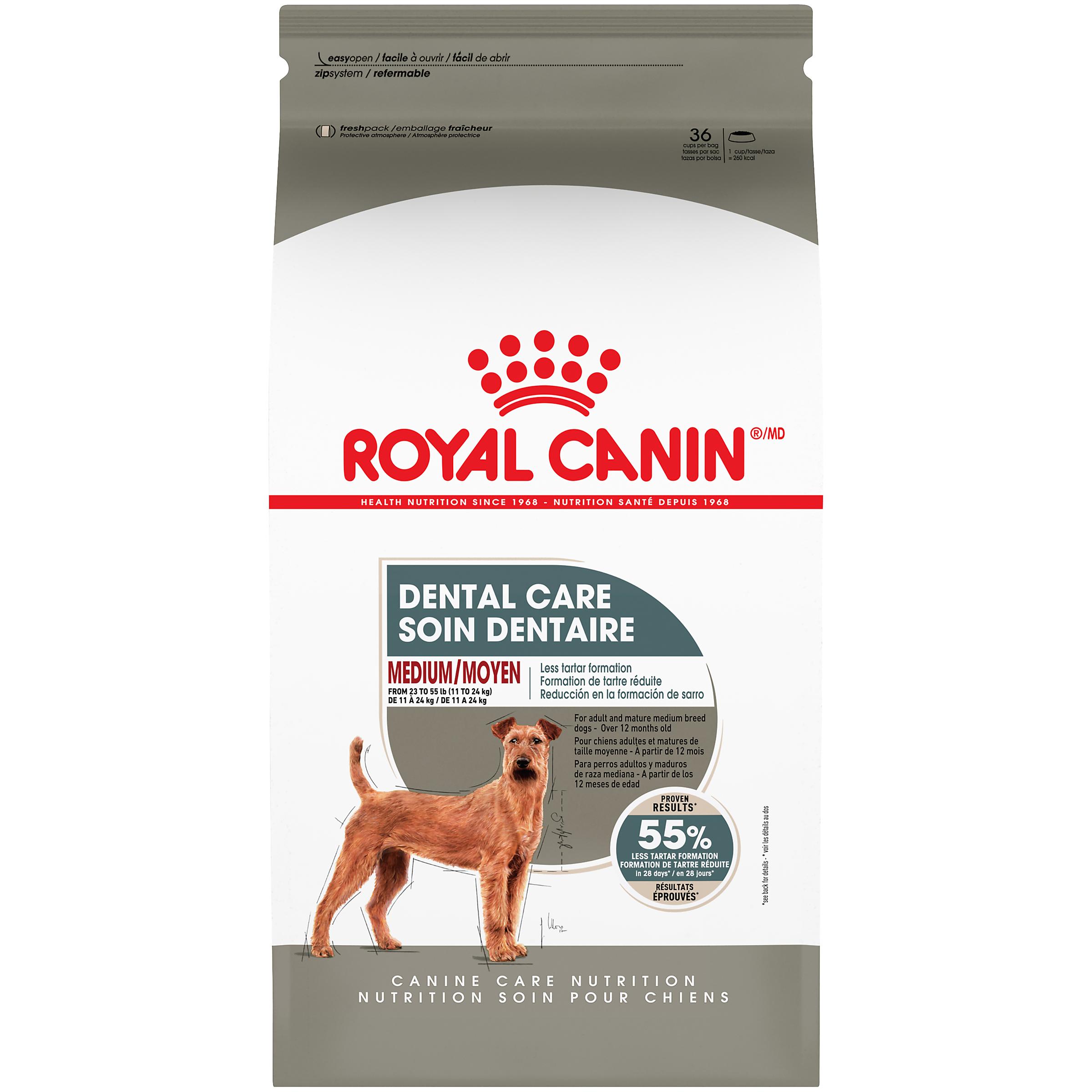 Royal Canin Canine Care Nutrition Dental Care Medium Breed Dry Dog Food