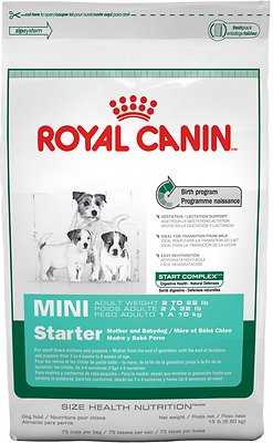 starter mini royal canin