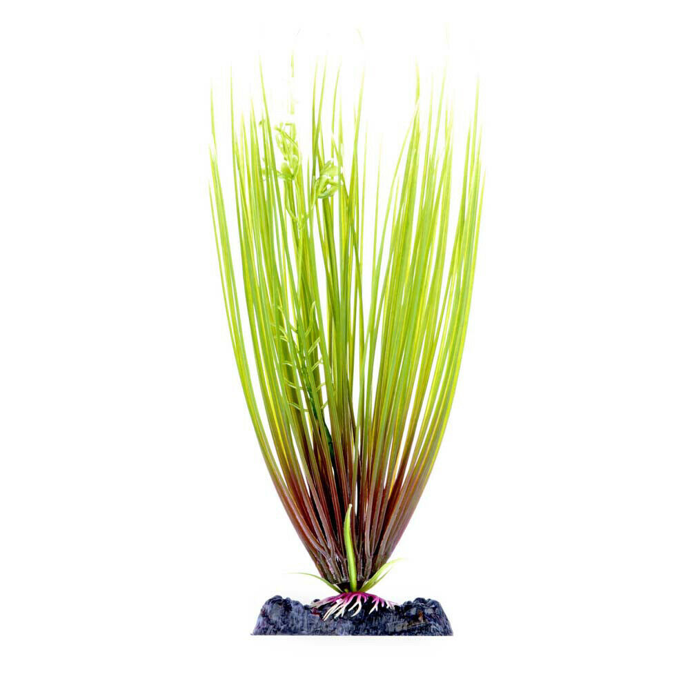Penn-Plax Aqua-Plant Sinkers Hair Grass for Aquariums, Large