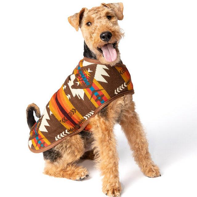 Chilly Dog Blanket Dog Coat, Brown Southwest, X-Small