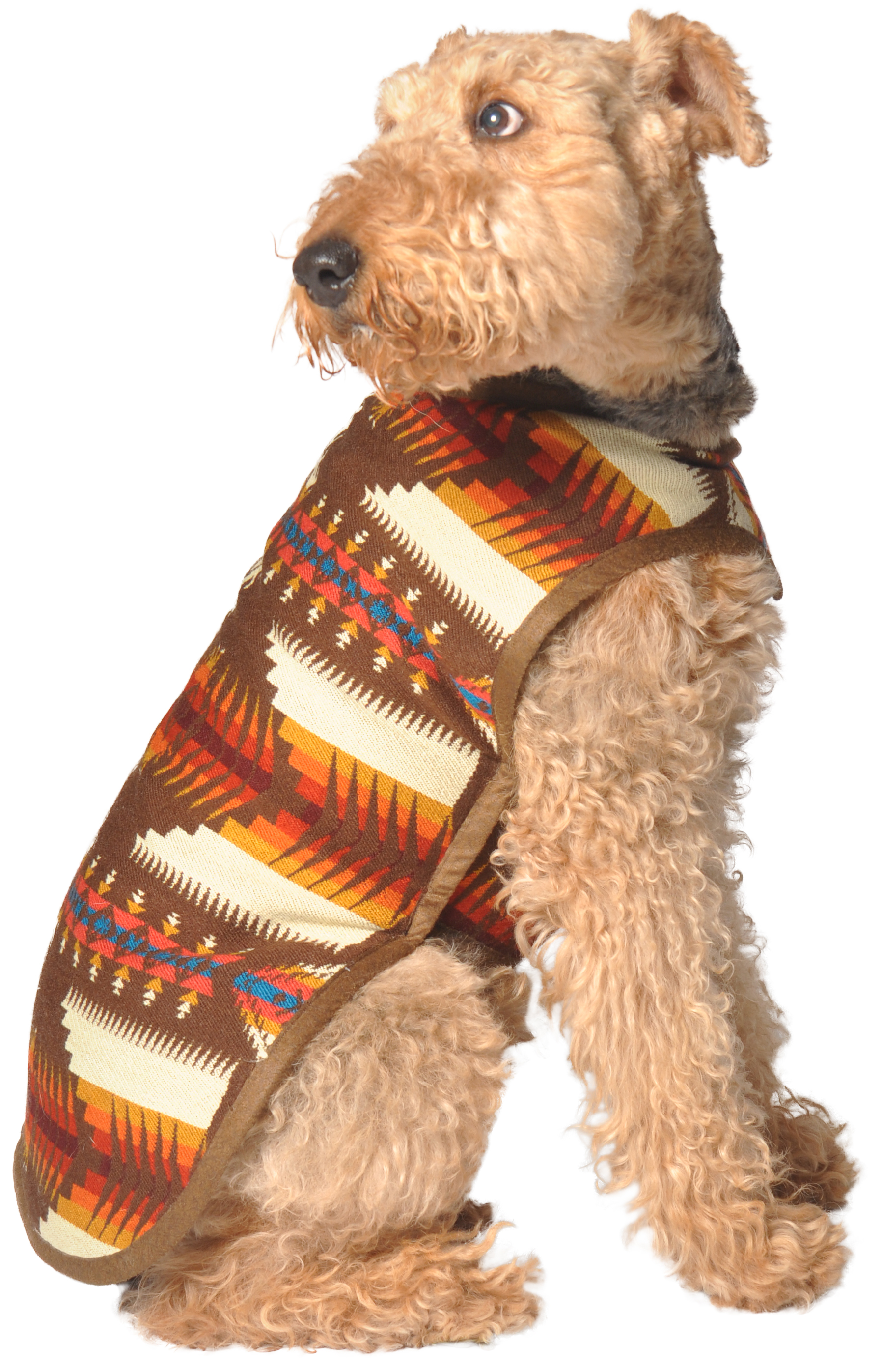 Chilly Dog Blanket Dog Coat, Brown Southwest, Medium