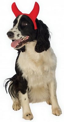 Rubie's Costume Company Devil Horns Dog Costume, Small/Medium