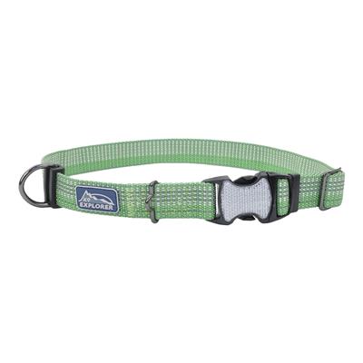 K9 Explorer Brights Reflective Adjustable Dog Collar, Meadow