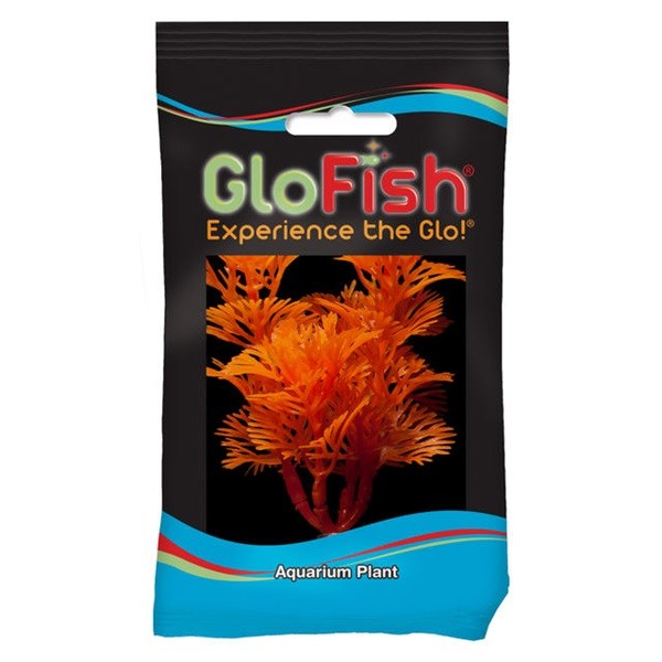 GloFish Cabomba Aquarium Plant, Sunburst Orange, Small
