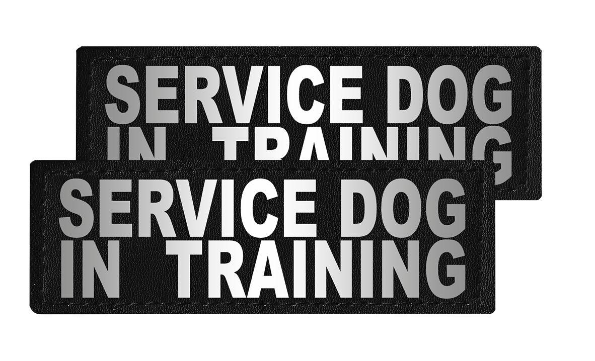 Dogline Removable Interchangeable Dog Patches, Service Dog In Training, 2-pk, 2-in x 6-in