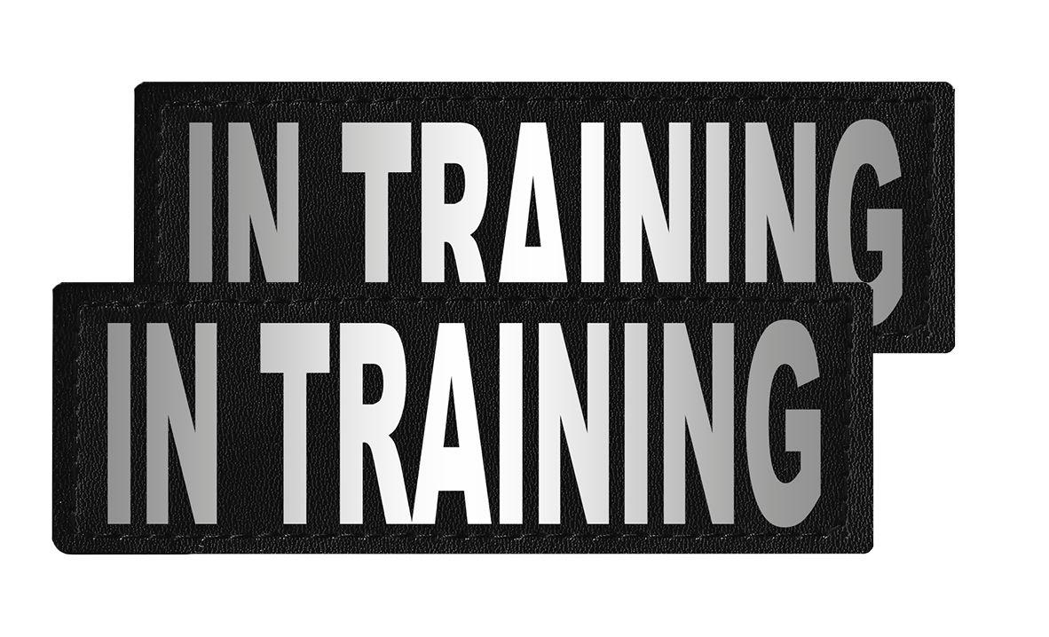 Dogline Removable Interchangeable Dog Patches, In Training, 2-pk