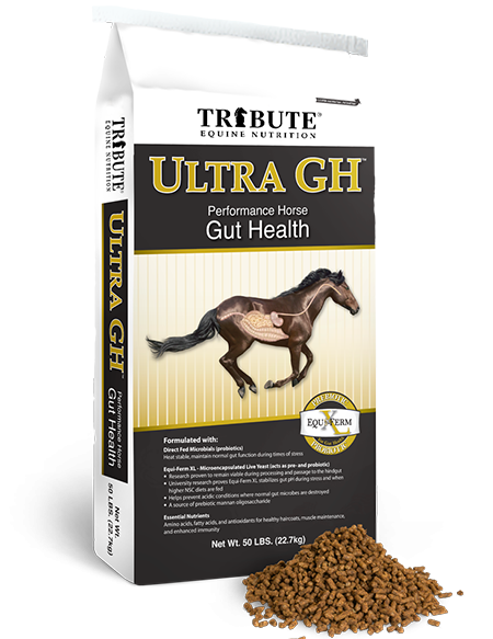 Tribute Ultra GH Pelleted Equine Feed, 50-lb