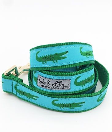 Solo & Lilly Laisse et colliers Alligator, Laisse, 5-ft, 1-inch de large