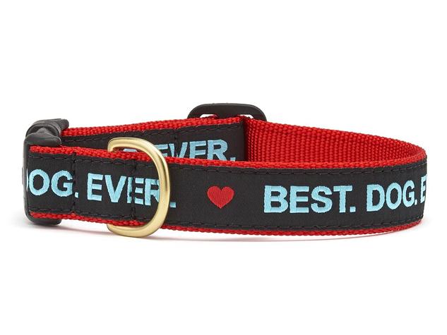 Up Country Dog Collar, Best Dog Ever