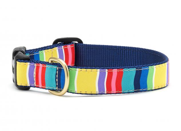 Up Country Colorful Stripe Dog Collar