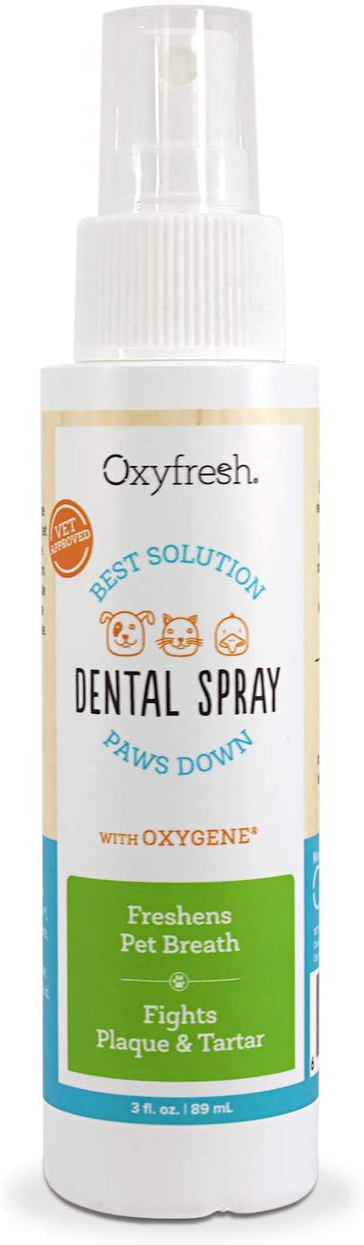 best breath spray for dogs