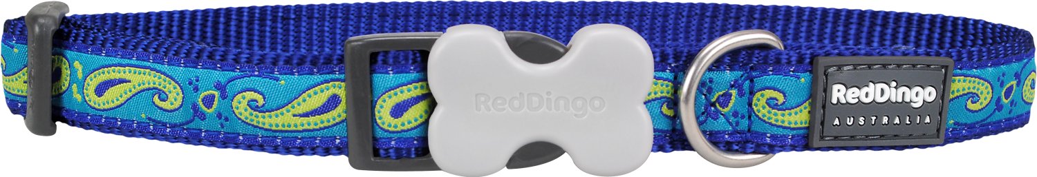 Red Dingo Designer Paisley Dog Collar, Blue/Green