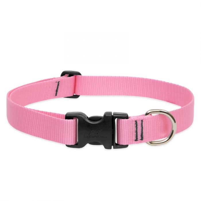 Lupine Pet Basic Solids Adjustable Dog Collar, Pink, 1-in x 16-28-in