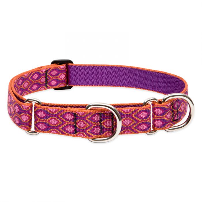 Lupine Pet Original Designs Martingale Dog Collar, Alpen Glow, 1-in x 15-22-in