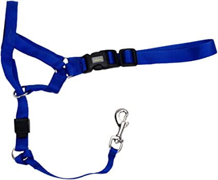 Coastal Walk 'n Train! Dog Head Halter, Blue, X-Small