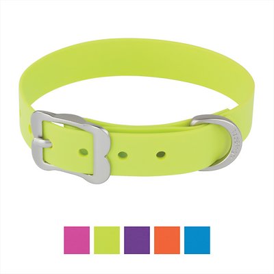 Red Dingo Vivid PVC Dog Collar, Lime, X-Large