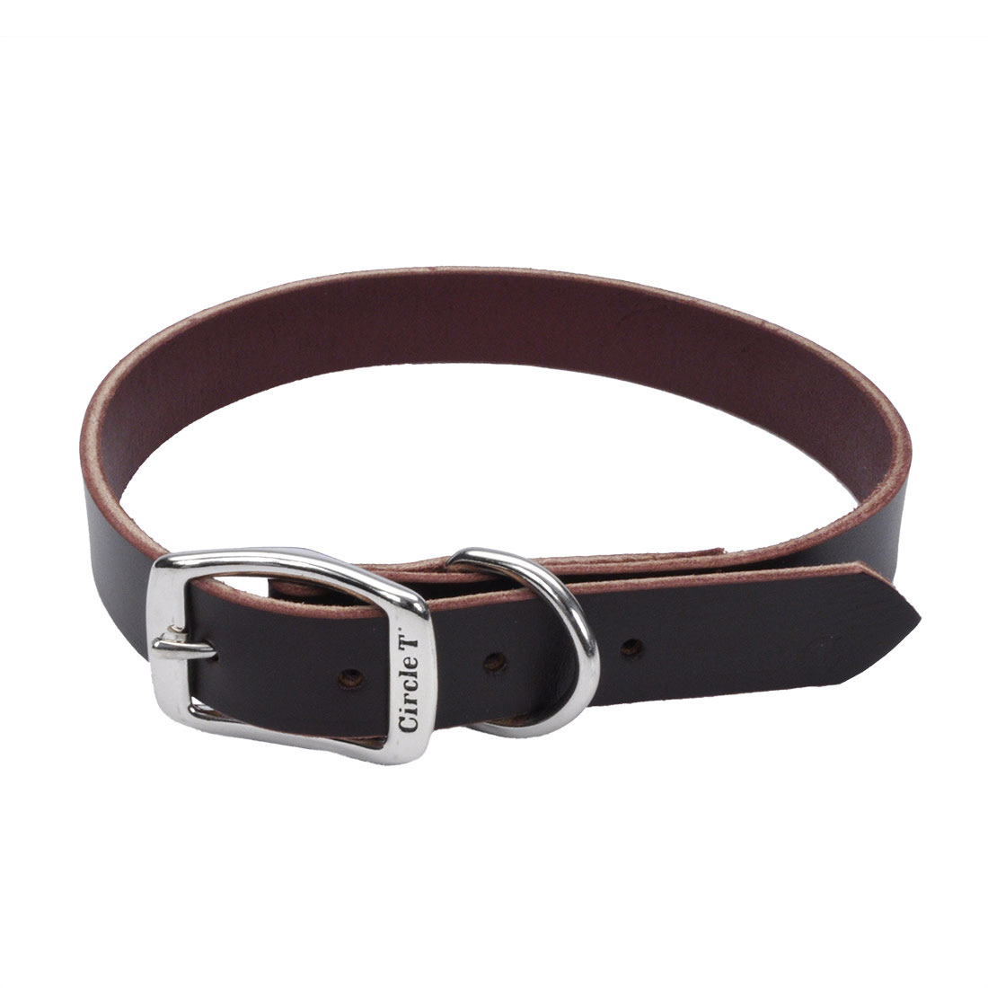 Circle T Latigo Leather Town Dog Collar, 1-in x 24-in