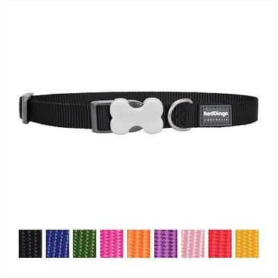 Red Dingo Classic Dog Collar, Black, Large (**)