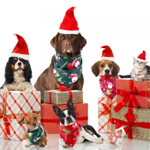 Pet-Tek Christmas Bandana Dog Accessory