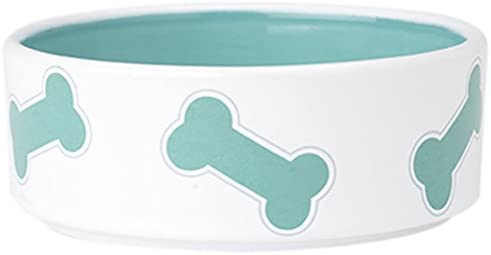 PetRageous Kool Bones Pet Bowl, Turquoise/White