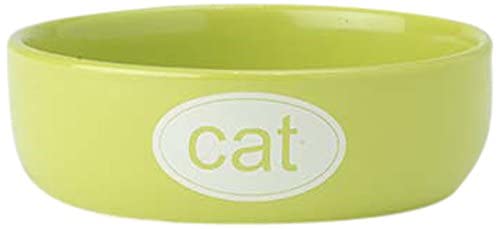 PetRageous Kool Cat Pet Bowl, Lime Green/White, 1-cup
