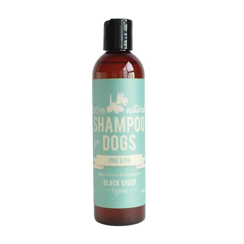 Black Sheep Organics Pine & Fir Dog Shampoo, 8-oz