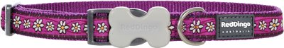 Red Dingo Designer Daisy Chain Dog Collar, Purple, X-Small
