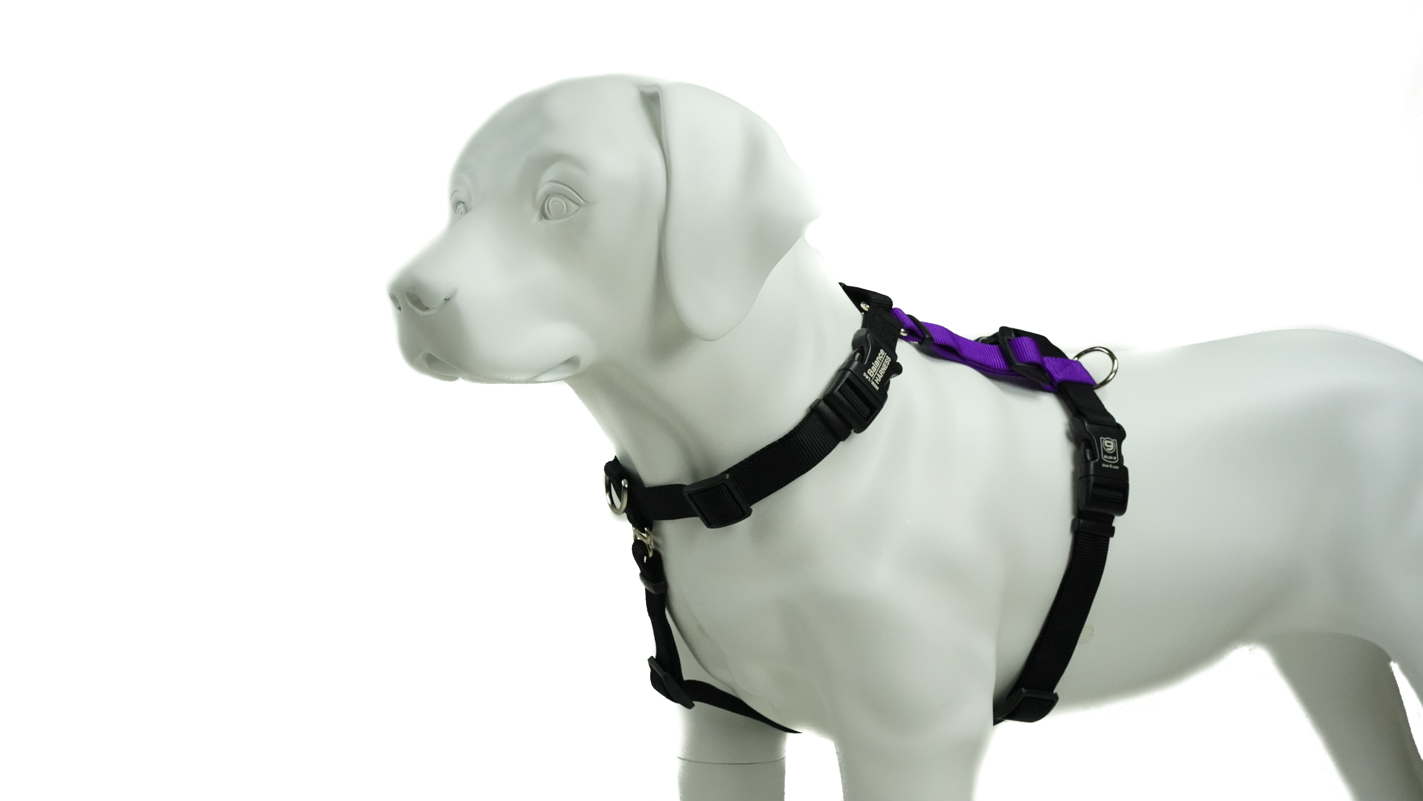 How To Put On Four Paws Dog Harness