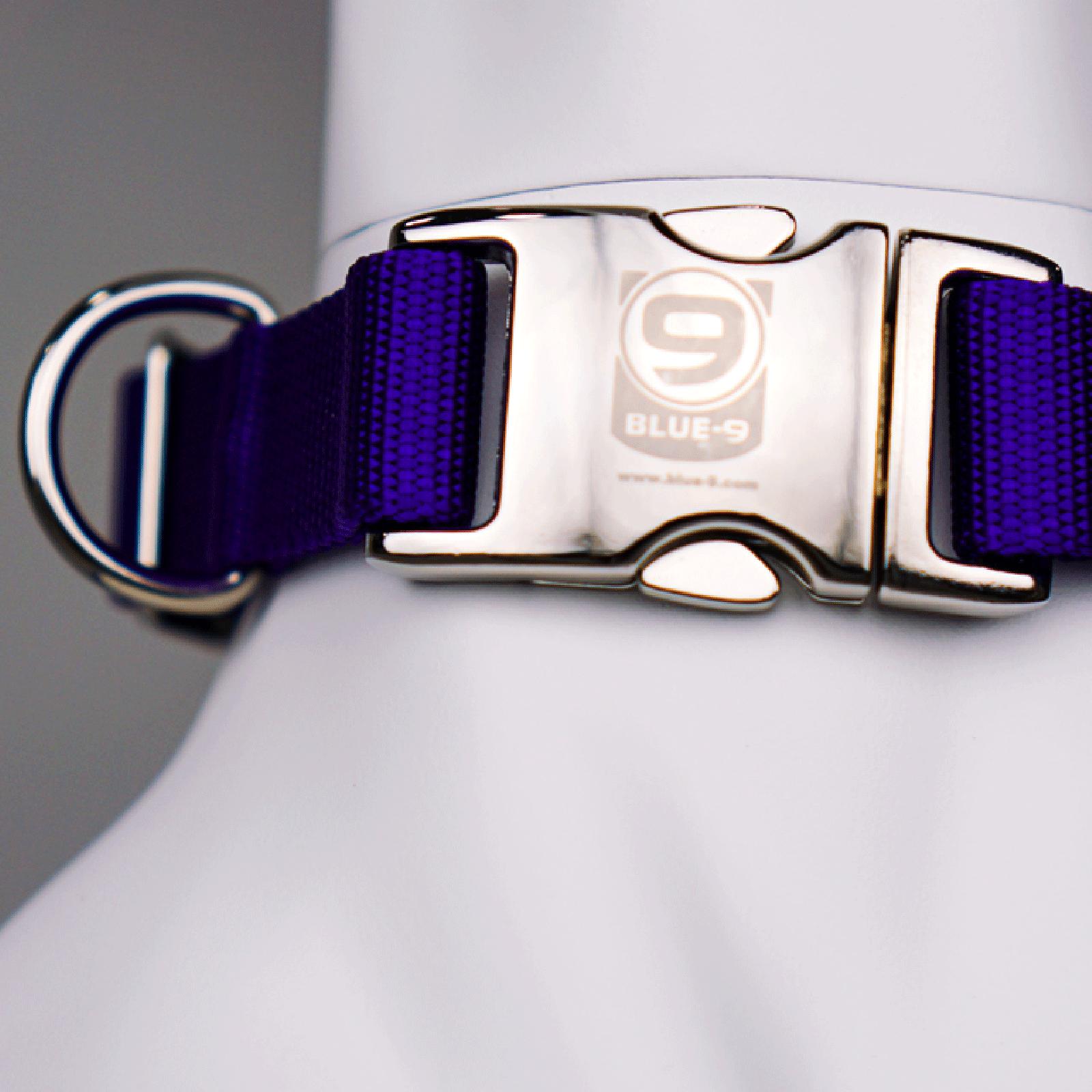 Blue-9 Secure Pro Metal Buckle Dog Collar, Purple, Small