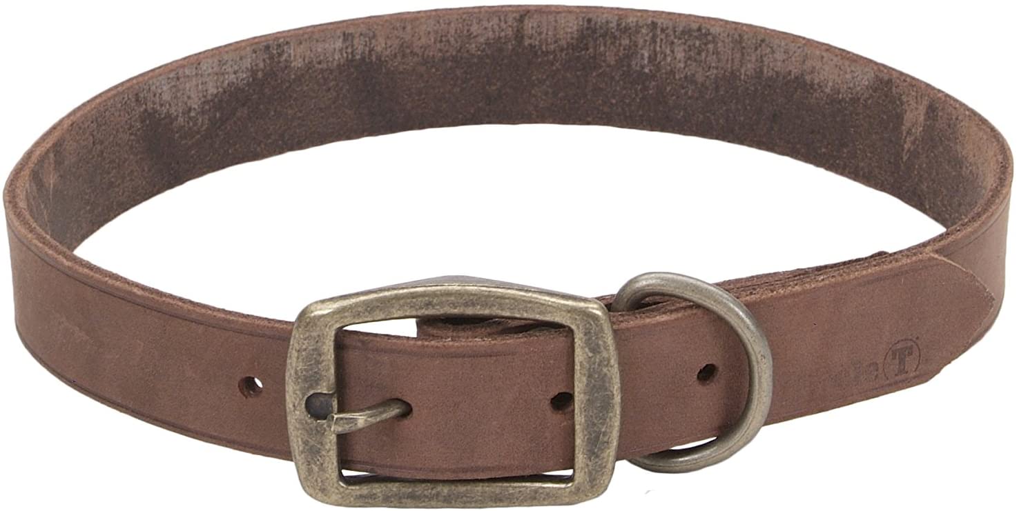 Circle T Rustic Dog Leash, Chocolate, 6-ft