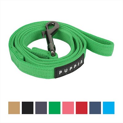 Puppia Two Tone Dog Leash, Green, Small