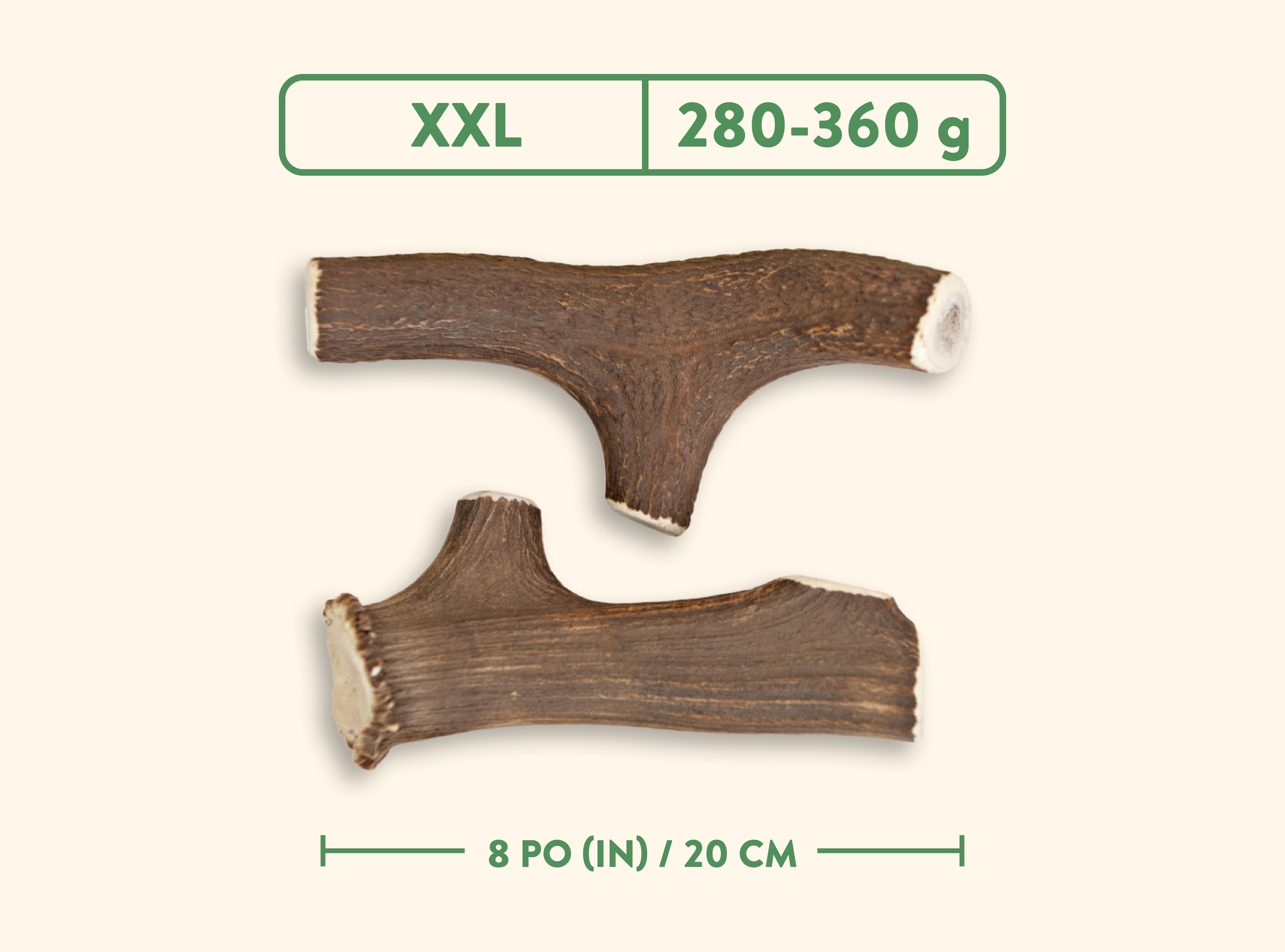Jawgler Whole Antler Wild Nature Chew Dog Toy, XX-Large