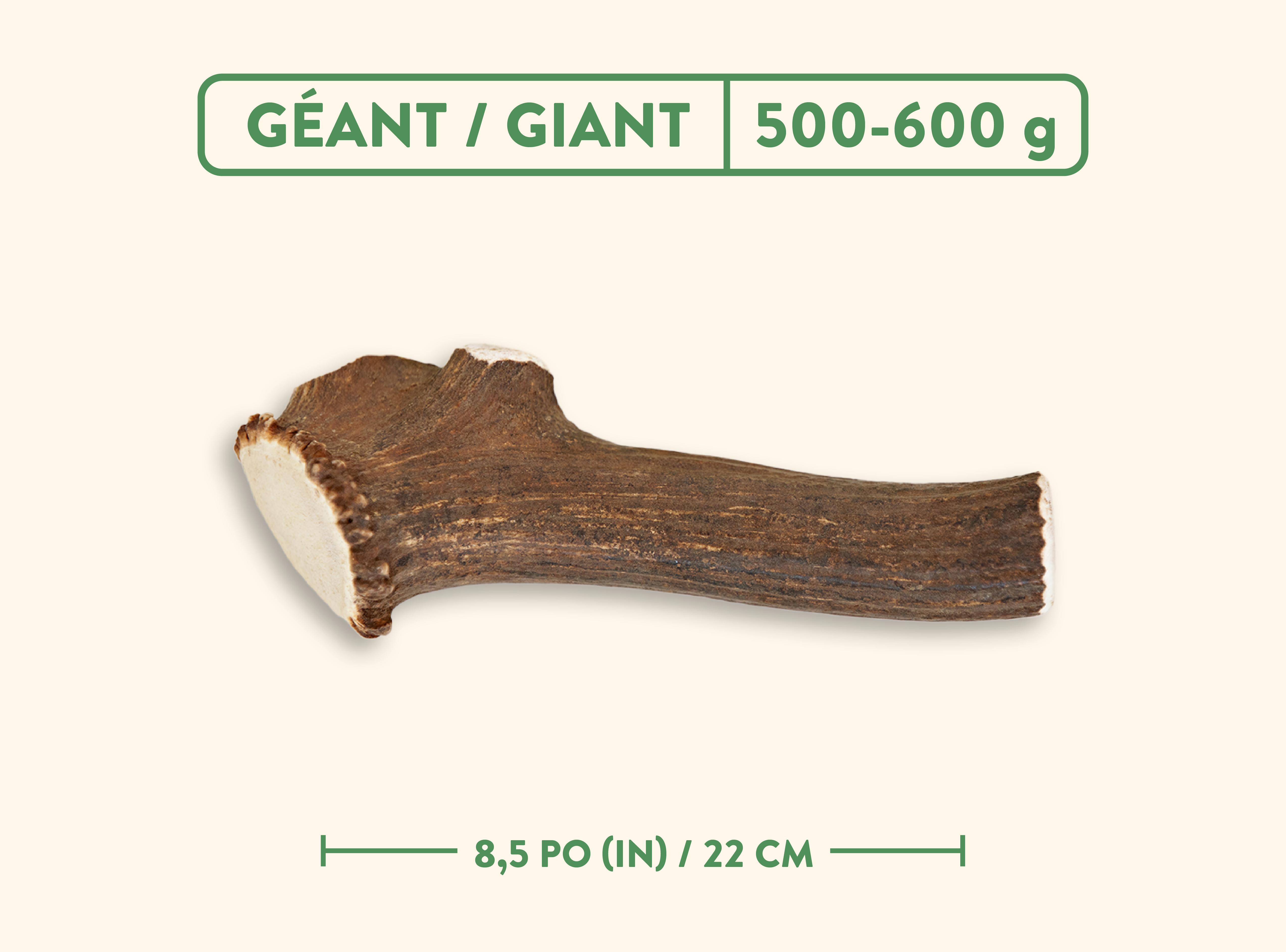 Dentler Bois De Cervidés, Entier - Goût De Nature Sauvage, Jumbo