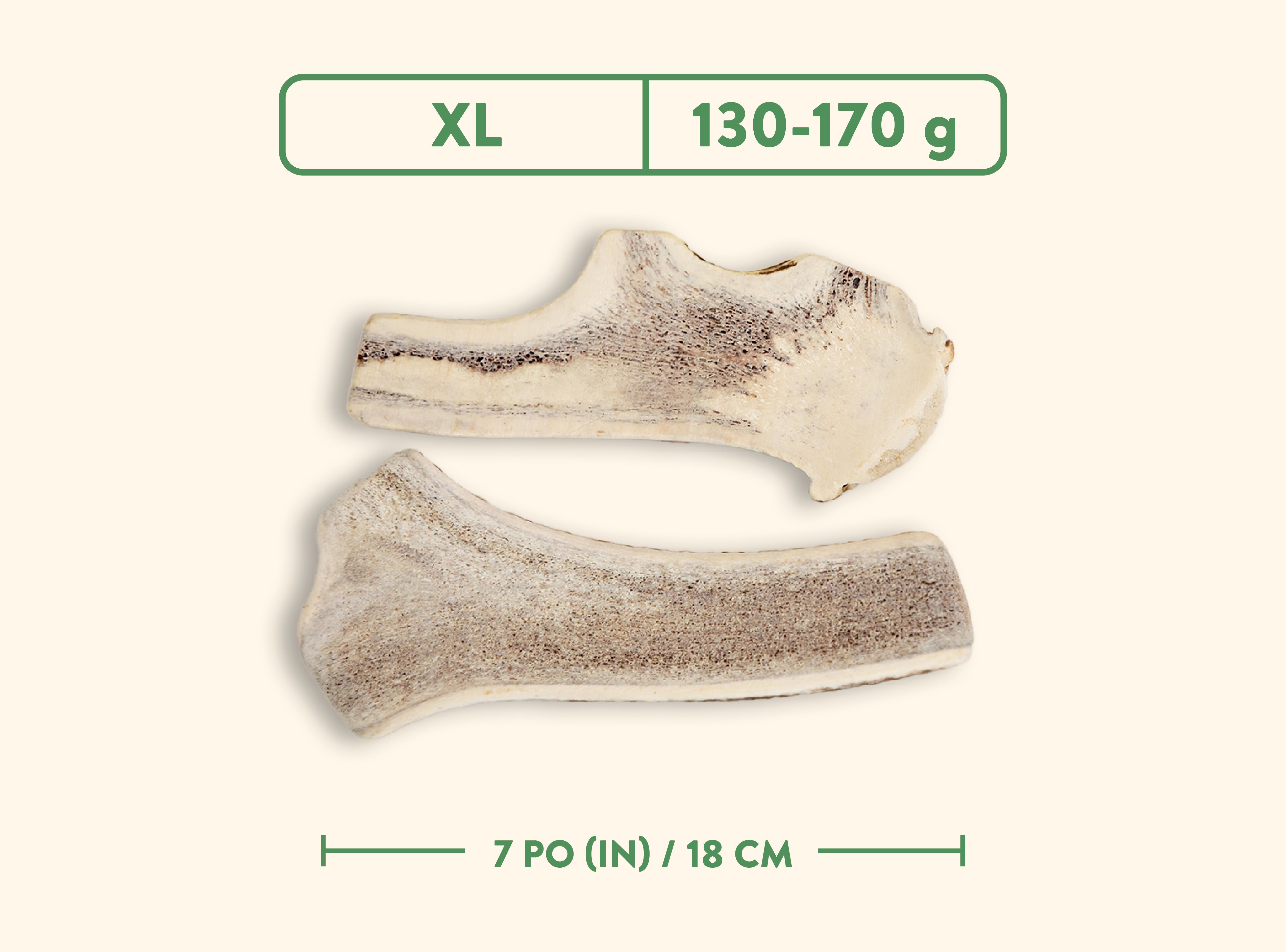 Dentler Bois De Cervidés, Tranché - Goût De Nature Sauvage, X-Grand