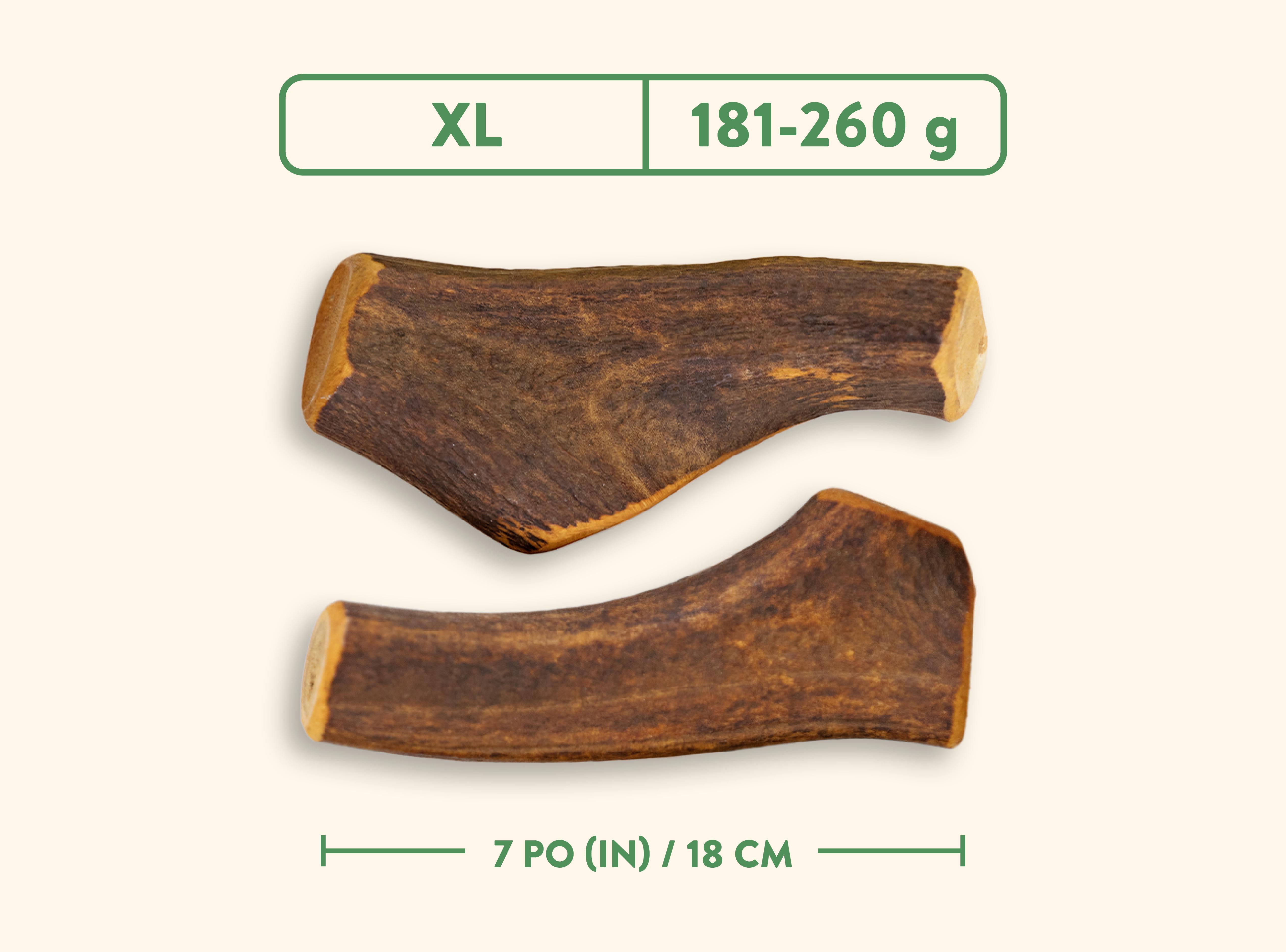 Jawgler Whole Antler Smoked Maple Ham Chew Dog Toy, X-Large