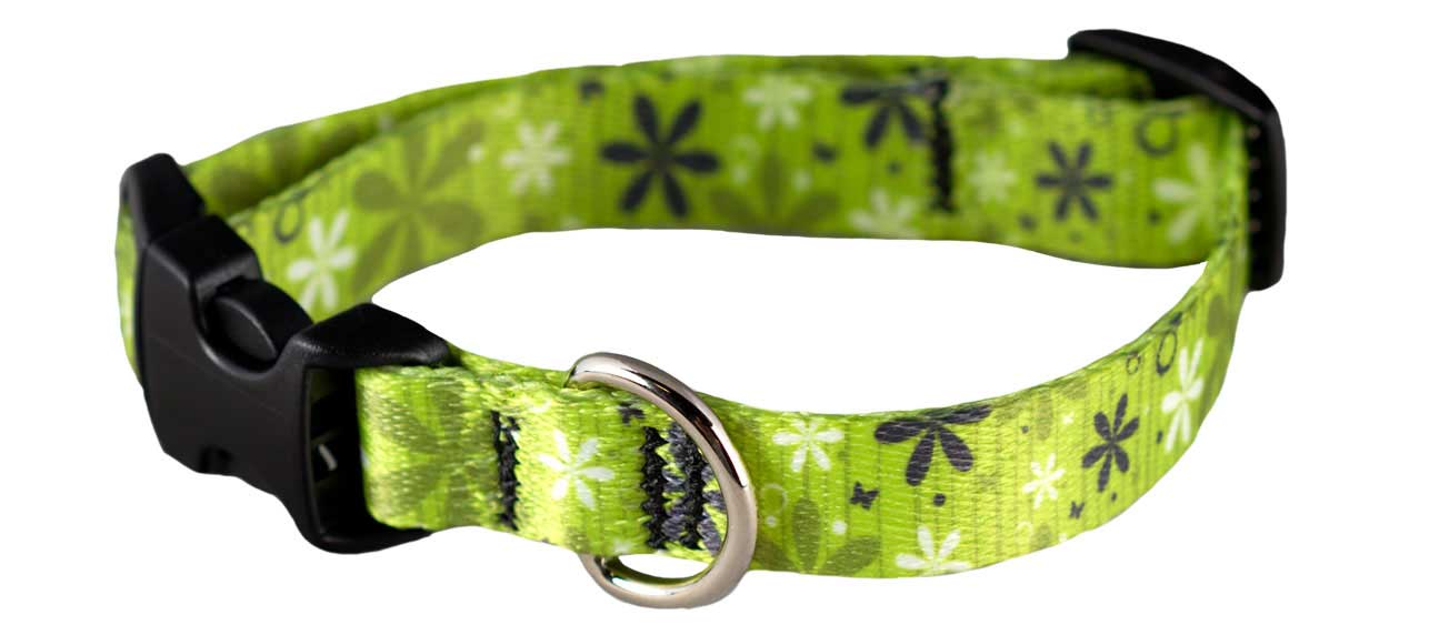 Cycle Dog Ecoweave SkinnyWidth Collar with Plastic Buckle for Dogs, Apple Green Retro Flowers, Small