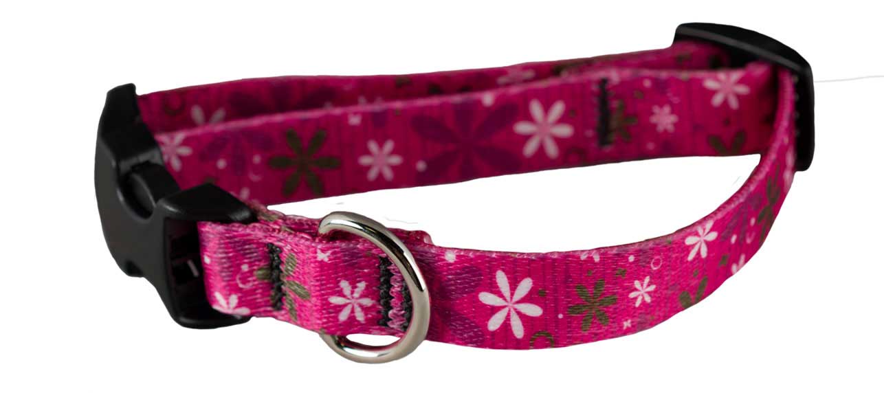 Cycle Dog Ecoweave SkinnyWidth Collar with Plastic Buckle for Dogs, Hot Pink Retro Flowers, Small