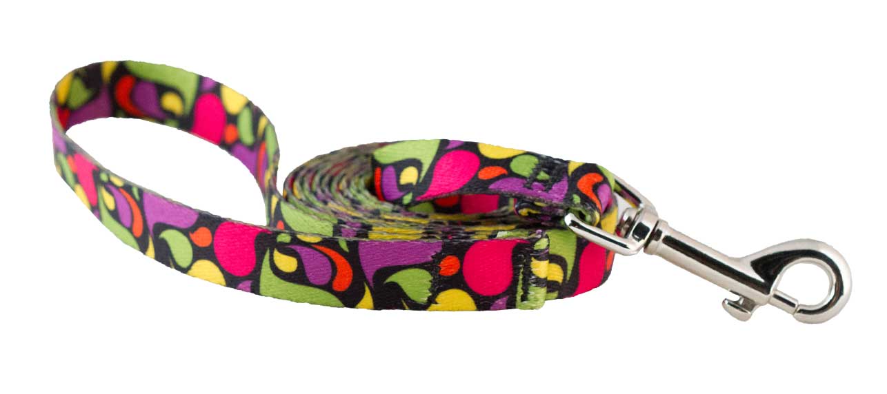 Cycle Dog Ecoweave SkinnyWidth Dog Leash, Multi Lava Lamp, 6-ft (Size: 6-ft)