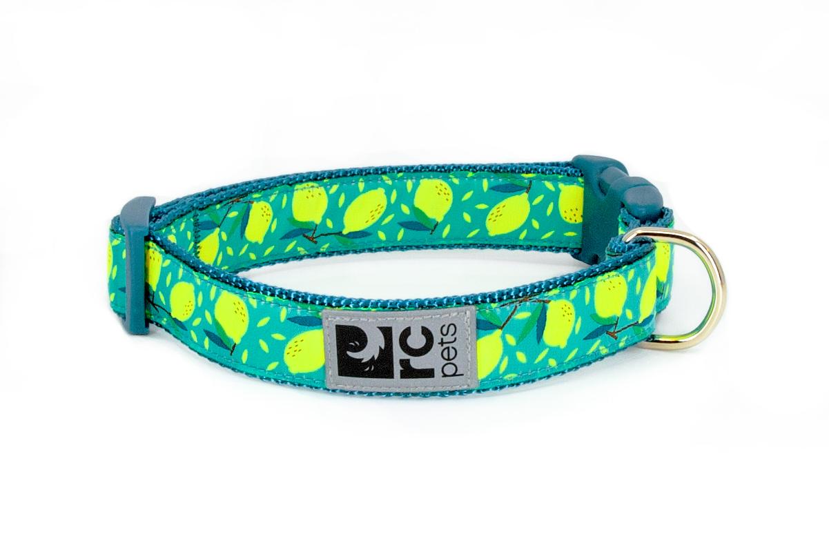 RC Pets Wide Clip Dog Collar, Lemonade