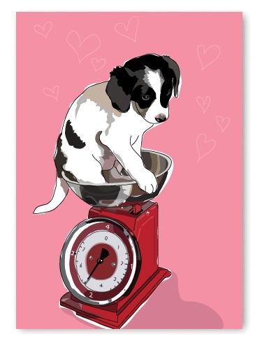 Paper Russells Card New Addition Congratulations