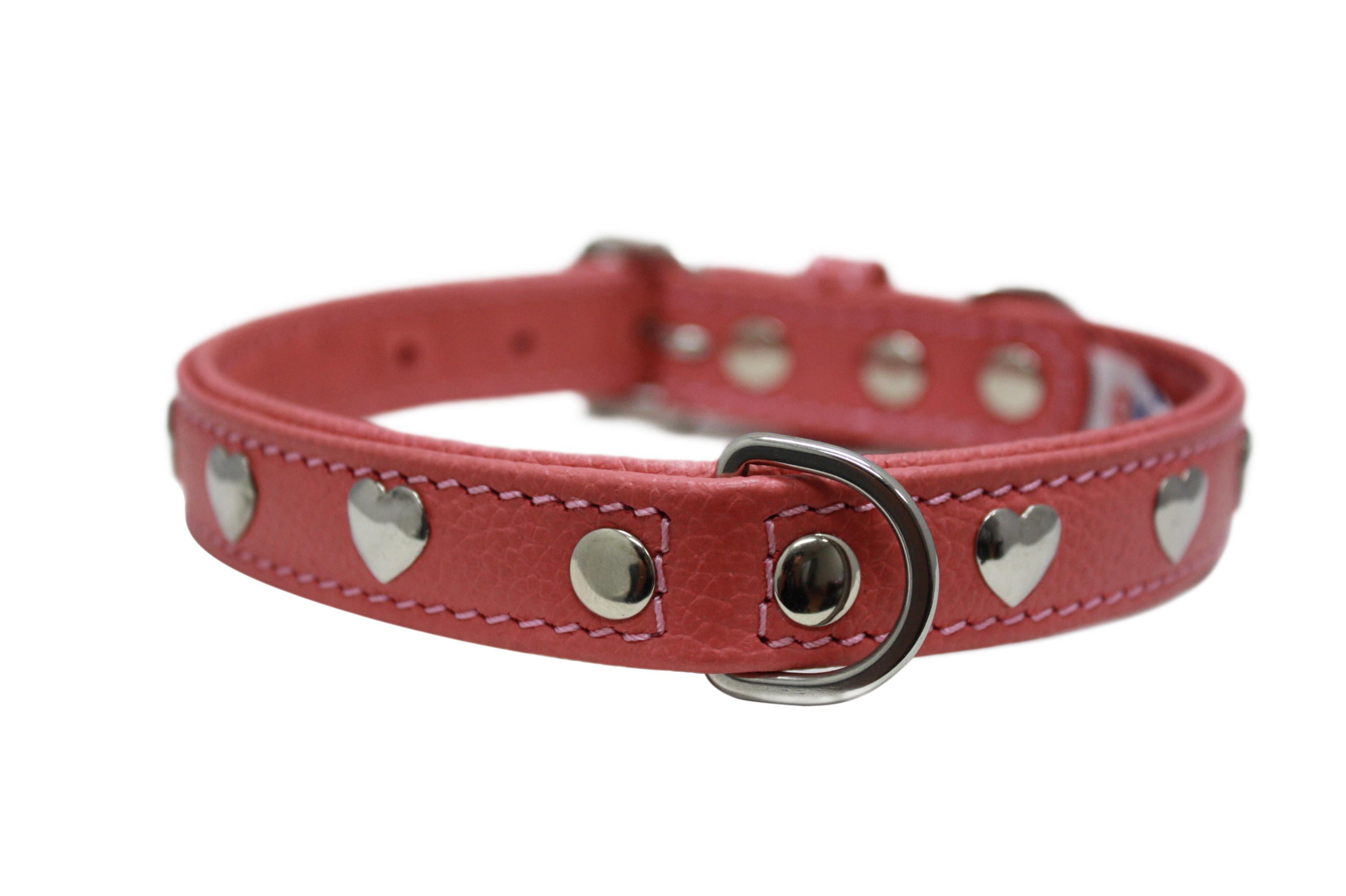 Angel Rotterdam Hearts Dog Collar, Bubblegum Pink, 14-in x 0.75-in